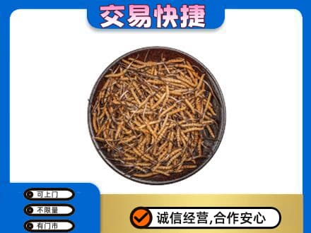杭州市富阳高价回收散虫草
